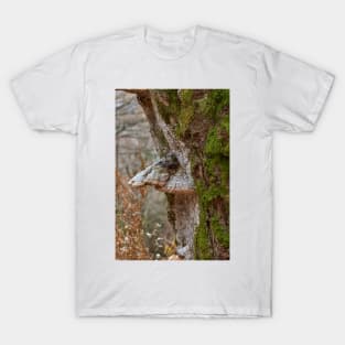 Woodland creatures T-Shirt